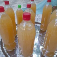 ابغوره تازه،  ترش وخوشمزه