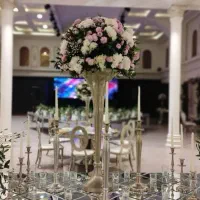 اجاره سالن تولد اجتماعات عقد و عروسی و مراسمات|خدمات پذیرایی، مراسم|تهران, دروس|دیوار