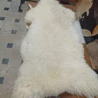 پوست گوسفند مرینوس ، مرینوس وارداتی ، دباغی خارجی