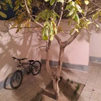 فروش خانه دربست ۱۶۵ متر سند تک برگ عرصه و عیان