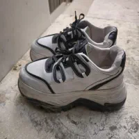 تعدادی کفش|کیف، کفش، کمربند|شاهین‌شهر, فردوسی|دیوار