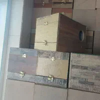 لانه طوطی پرنده عروس هلندی