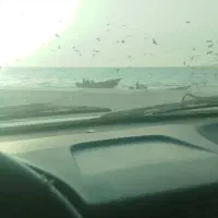 سرویس لنده،دهدشت به بوشهر