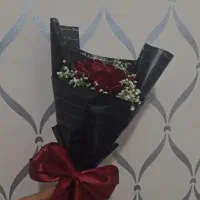 گل روبـآنــی|گل مصنوعی|قم, امامزاده ابراهیم|دیوار