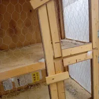 جفت کن کبوتر