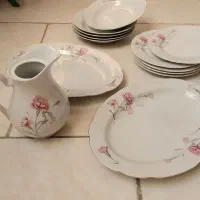 سرویس چینی میخکی