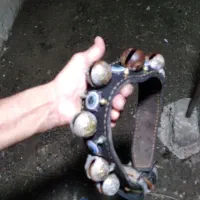 قلاده سگ
