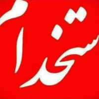 آشپز پیتزا و ساندویج