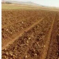 زمین-روستا-تلخک