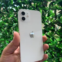 Iphone 12|موبایل|ارومیه, |دیوار