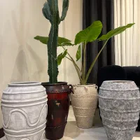 پتینه|گل و گیاه طبیعی|کرج, حیدرآباد|دیوار