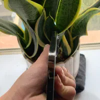 iphone 13 pro max|موبایل|ارومیه, |دیوار