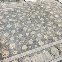 فرش۱۲۰۰شانه ۱۲متری