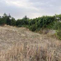 زمین بر جاده اصلی بالاخط 311متر