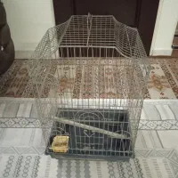 قفس پرنده بزرگ