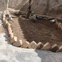 کفتر خوب