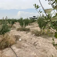 باغچه سند دار با انشعابات|فروش خانه و ویلا|رباطکریم, انجم آباد|دیوار