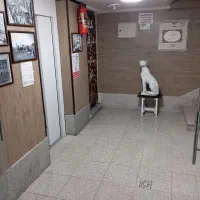 هتل آپارتمان مبله در مرکز شیراز|اجارهٔ کوتاه‌مدت آپارتمان و سوئیت|شیراز, زند|دیوار