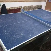 میز پینگ پنگ