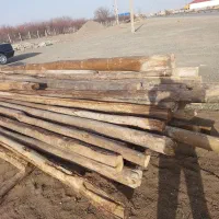 فروش  چوب