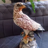 مجسمه فایبر گلس تزیینی شاهین|مجسمه، تندیس، ماکت|کرج, فاز ۱ مهرشهر|دیوار