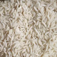 برنج دو نوچ هاشمی (راتون)