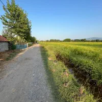خونه شالیزار۲۱۰۰۰مترکوچصفهان، خشکبیجار،لاهیجا،رشت|فروش خانه و ویلا|خمام, |دیوار