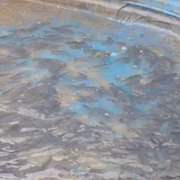 گرمابی بچه ماهی بیگهدوامور و...