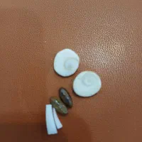 مهره اصل|بدلیجات|اهواز, کوروش|دیوار