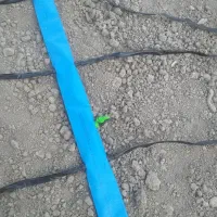 لوله آبیاری قطره ای لی فلت|عمده‌فروشی|گچی, |دیوار