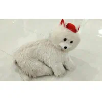 لوازم|کفش و لباس بچه|تربت‌حیدریه, بی بی حسنیه|دیوار