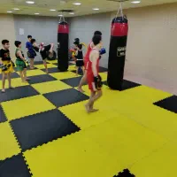 آموزش ورزش های رزمی