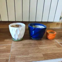 اسنتد چوبی همراه گلدن|گل مصنوعی|بندر انزلی, جزیره|دیوار