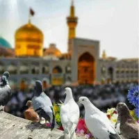 رزو قطار تور و هتل  مشهد آفر ویژه