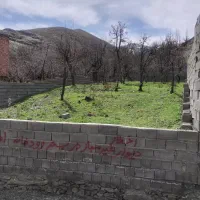 محله زشک ۲۰۰۰ مترباغ مشارک بمگردی