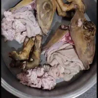 کله پاچه فروشی - تحویل رایگان در تالش