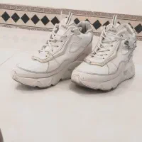 کفش|کیف، کفش، کمربند|بروجرد, |دیوار