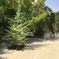 ویلایی-باغ-طوطی