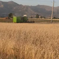 کمپاین سهند|خودرو سنگین|بانه, |دیوار