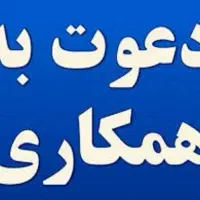 فروشنده و نیروی فروش حرفه ای