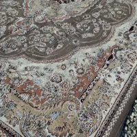 ۴تا فرش مشهدیک نقش تک نرخی|فرش|گنبد کاووس, |دیوار