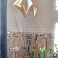 آباژور کنار سالنی