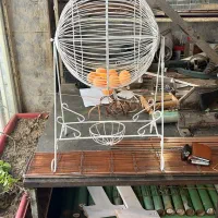 گردونه قرعه کشی اجاره ای