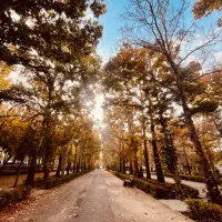 عکاسی پاییزه ویژه ابان ماه (با چاپ عکس ها و ویدیو)|خدمات پذیرایی، مراسم|بجنورد, |دیوار