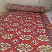 گلیم|گلیم، جاجیم، گبه|سبزوار, گلشن|دیوار