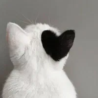 هدیه از میلی فقط با ثبت نام