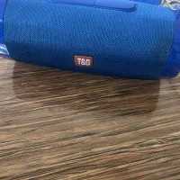 اسپیکر T&G