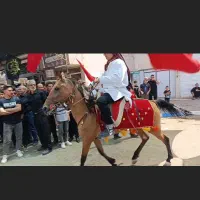 اسب مادیون کرد