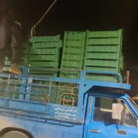 سبد میلورم نو|ظروف نگهدارنده، پلاستیکی، یک‌بارمصرف|نجف‌آباد, امیرآباد|دیوار