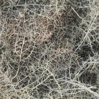 خار شتری کیلو 9
